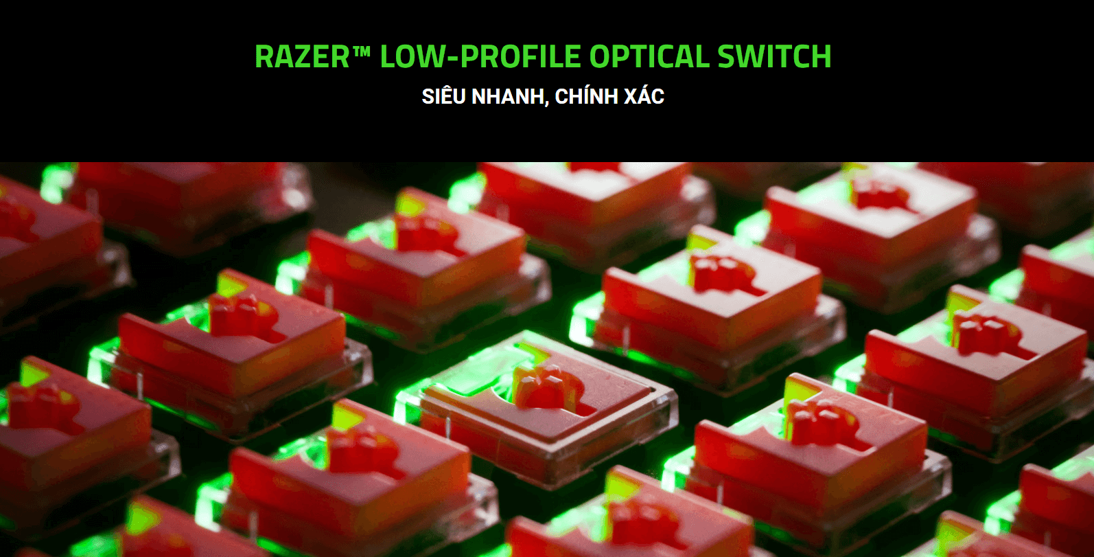 ban-phim-game-khong-day-razer-deathstalker-v2-pro-tenkeyless-low-profile-optical-rgb-usb-linear-red-sw-rz03-04370100-r3m17 Bàn phím game không dây Razer DeathStalker V2 Pro Tenkeyless Low Profile Optical (RGB/USB/Linear Red sw) (RZ03-04370100-R3M1) 2