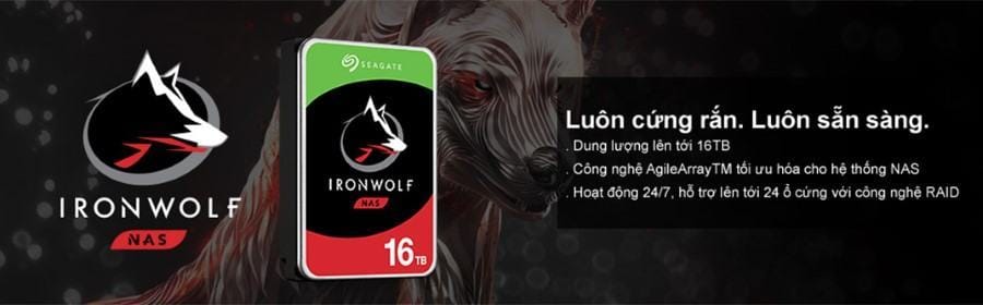 35237_22_01-1 Ổ cứng HDD Seagate IronWolf
