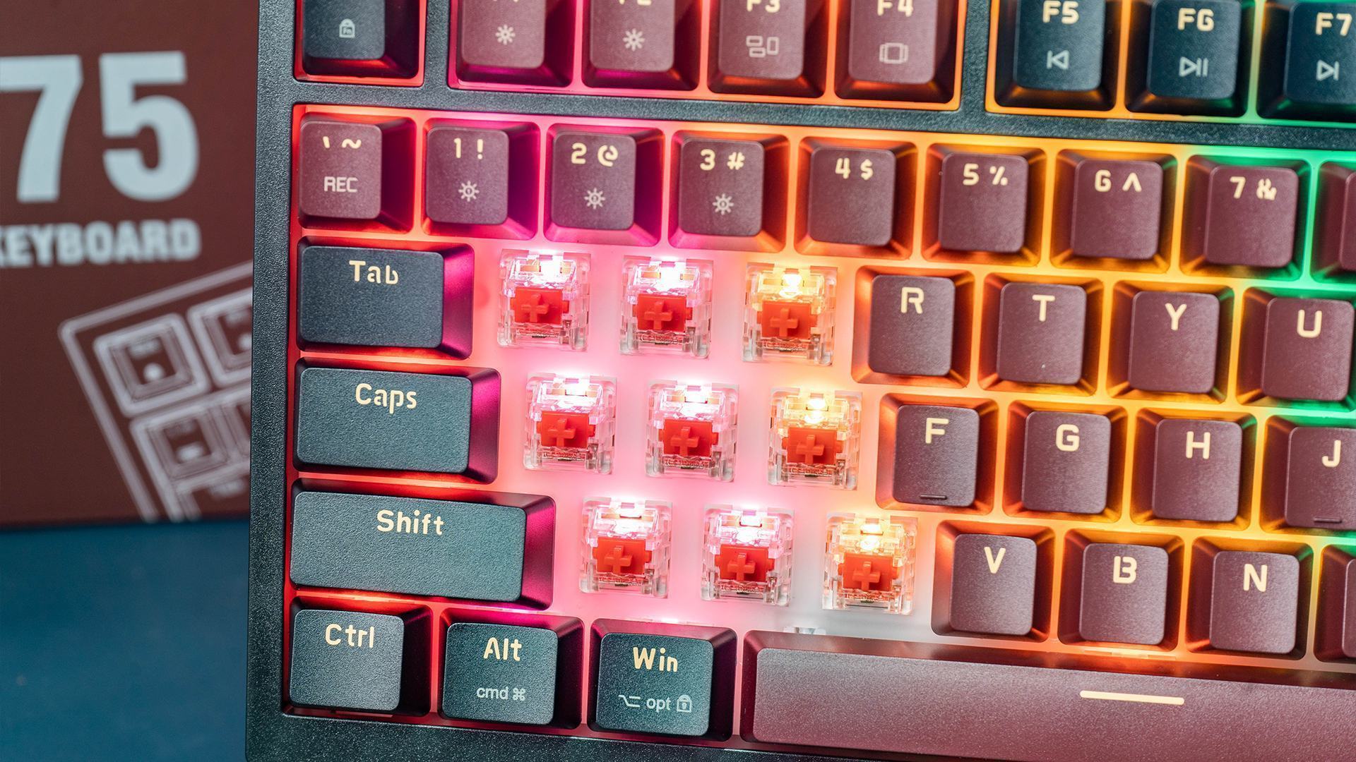 Bàn Phím Cơ Gaming Edra EK375 Alpha Red Switch 2