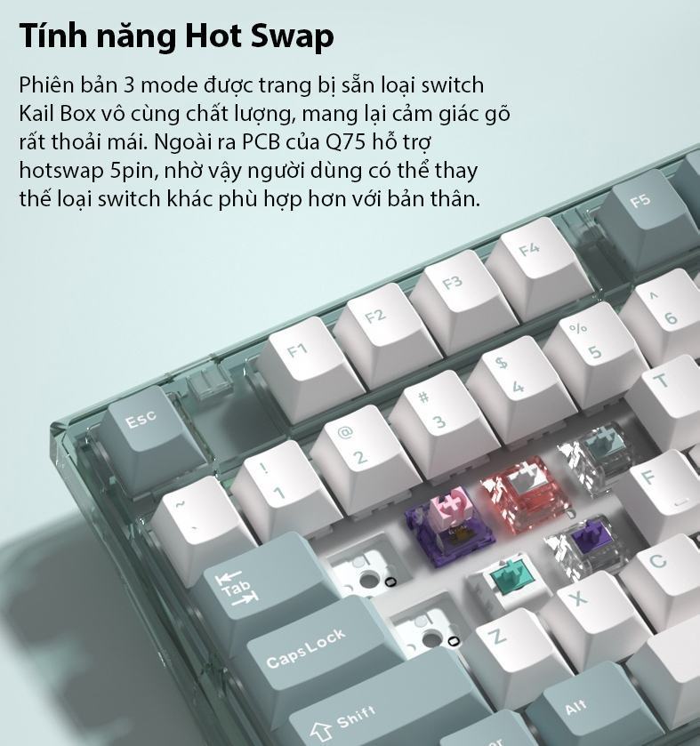 Bàn phím cơ Không dây FL-Esport Q75 Azure Green 3 Mode Coolmint sw (Kailh Box/USBC/Bluetooth/RGB) 7