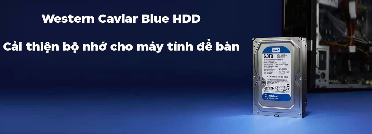 hdd-western-caviar-green-blue1-1 Ổ cứng HDD WD Blue 3.5 inch